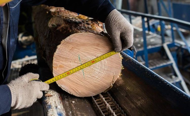 Profession gallery baumst mme in der ausbildung als holzbearbeitungsmechaniker bearbeiten