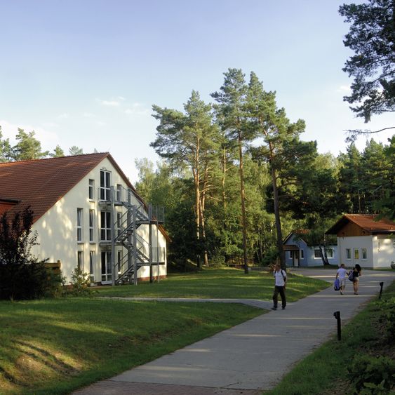 Bild Nr. 7 aus der Galerie