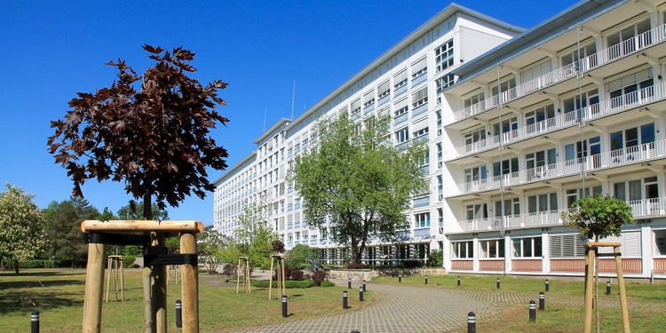 Bild Nr. 4 aus der Galerie