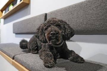 Bild von Unternehmen step one GmbH