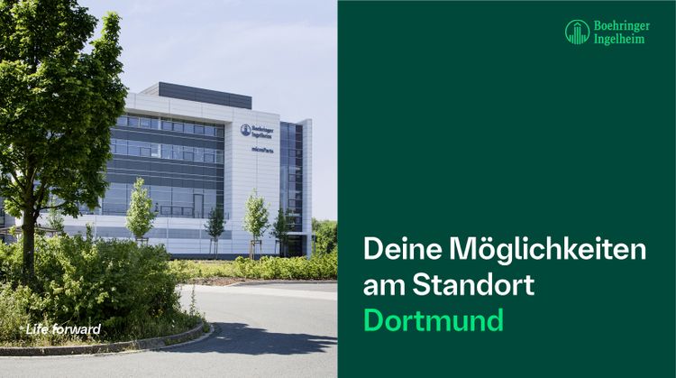Bild Nr. 13 aus der Galerie