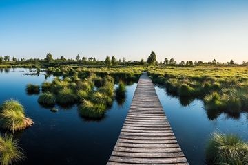 Bild von Unternehmen Bundesamt für Naturschutz