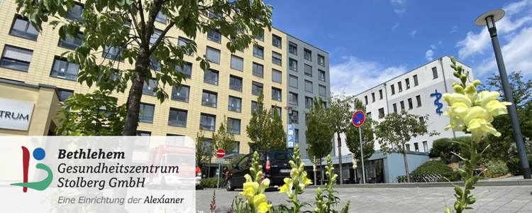 Bild Nr. 1 aus der Galerie