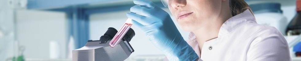 Ausbildung in der biologie finden