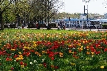 Bild Nr. 4 aus der Galerie