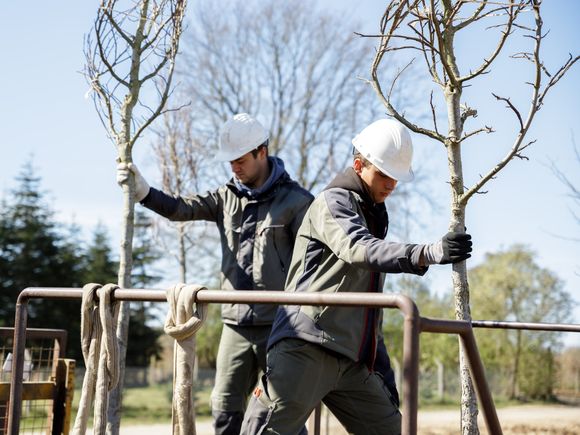Ausbildung Baumschule Lorenz von Ehren GmbH & Co. KG freie