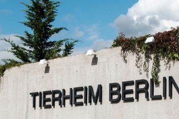 Bild von Unternehmen Tierschutzverein für Berlin und Umgebung Corporation e.V.