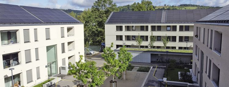 Bild Nr. 6 aus der Galerie
