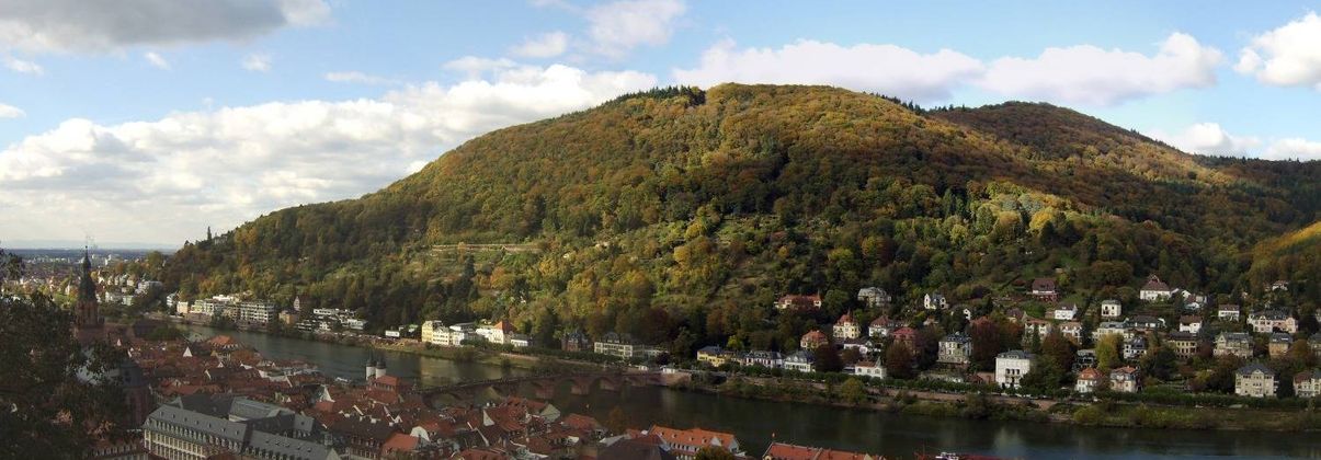 Search header image heidelberg gro