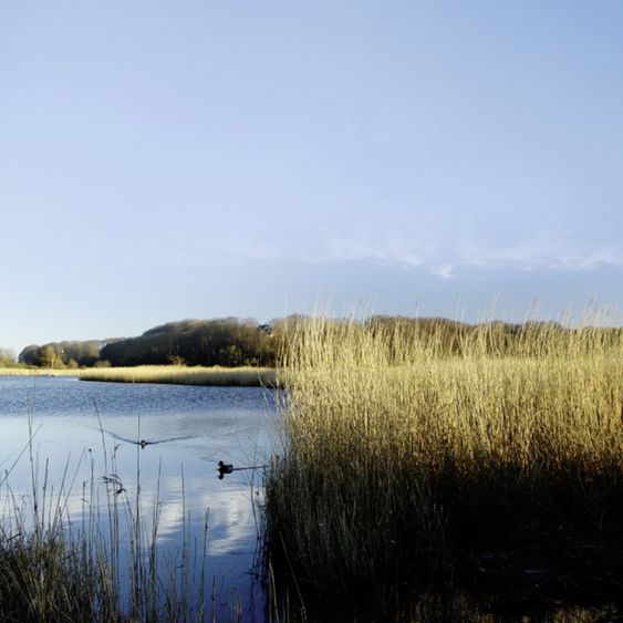 Bild Nr. 6 aus der Galerie