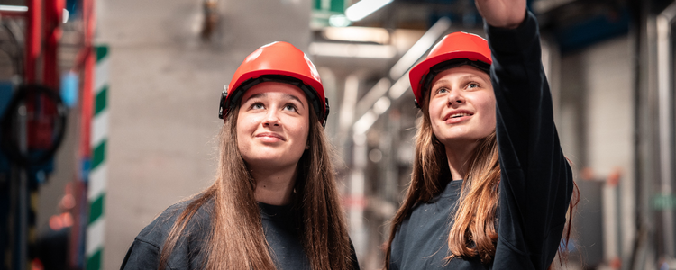 Bild aus der Galerie