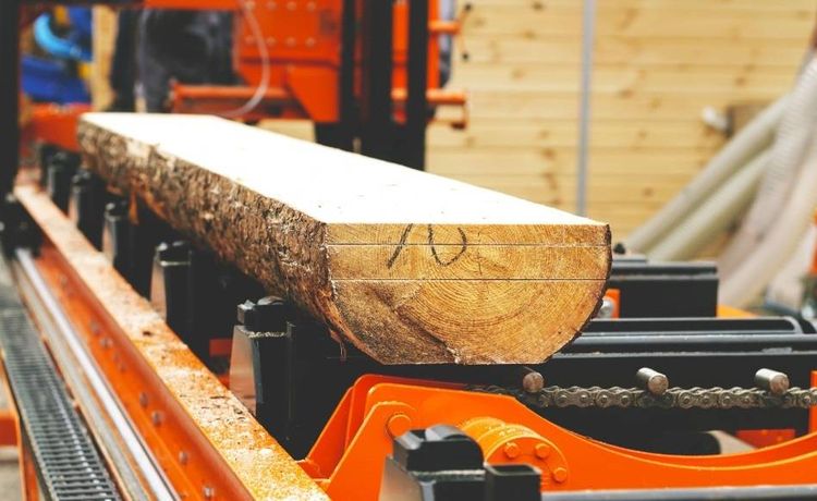 Profession gallery baumstamm bearbeiten in der ausbildung als holzbearbeitungsmechaniker