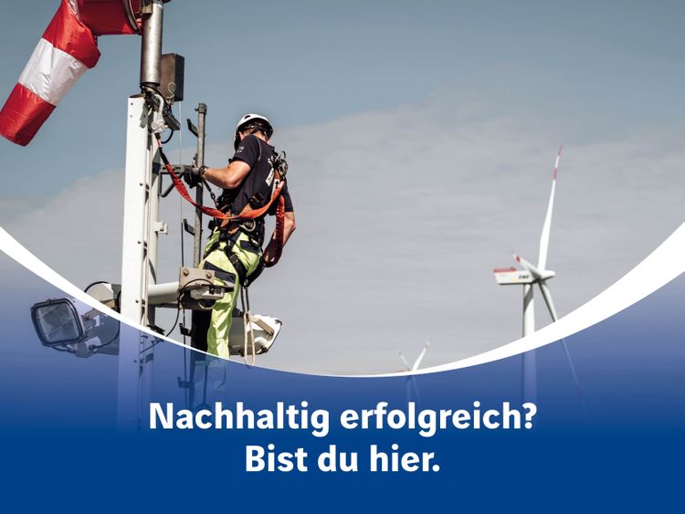 Bild Nr. 2 aus der Galerie