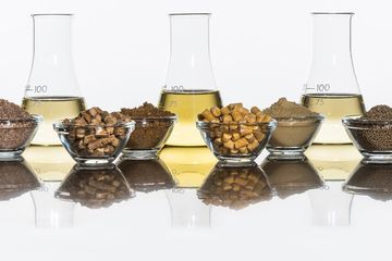 Bild von Unternehmen GePro Geflügel-Protein Vertriebsgesellschaft mbH & Co. KG