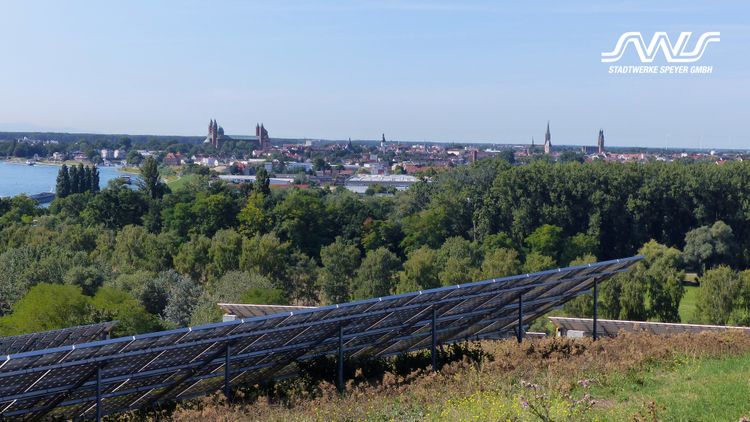 Bild Nr. 4 aus der Galerie
