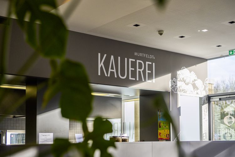 Bild Nr. 5 aus der Galerie