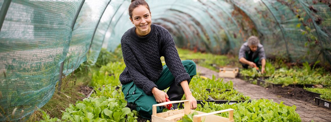 Bild von Gärtner/in