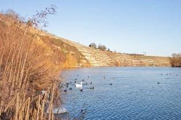 Bild der Stadt Duales Studium Kirchheim