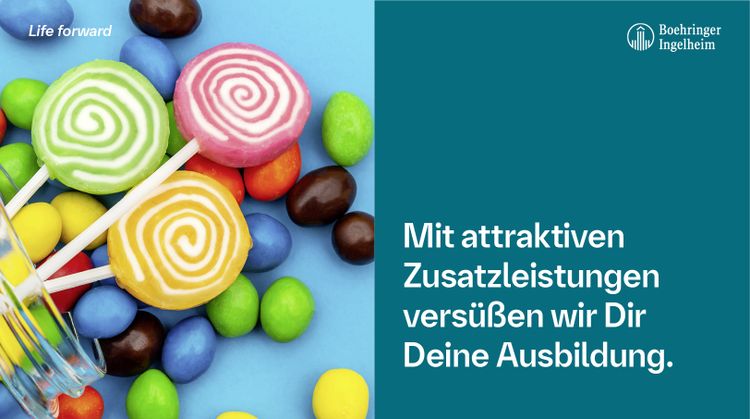 Bild Nr. 7 aus der Galerie