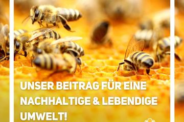 Bild von Unternehmen Bee/Partment GmbH