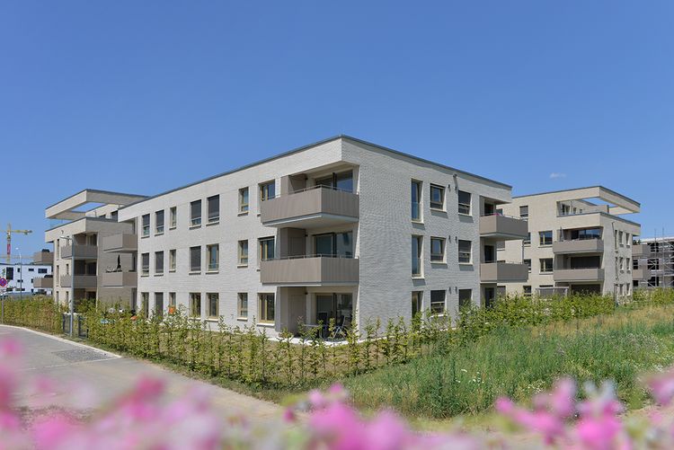 Bild Nr. 1 aus der Galerie