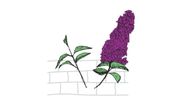 Logo von Kellermann Gartengestaltung 