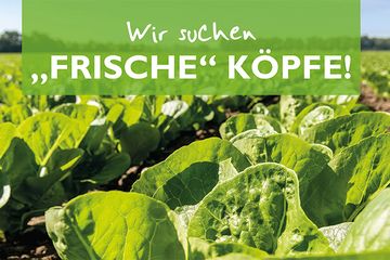 Bild von Unternehmen Behr AG