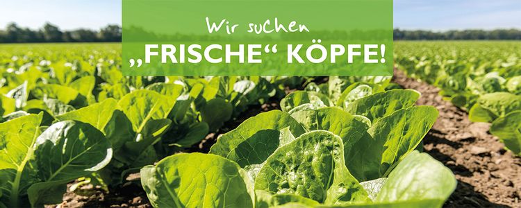 Bild Nr. 6 aus der Galerie
