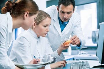 Sugar image duales studium chemie