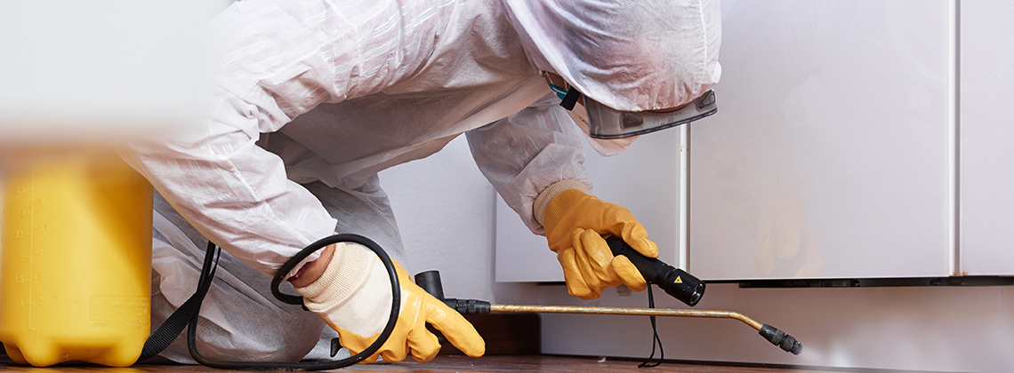 Bild von Schädlingsbekämpfer/in