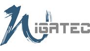 Logo von IGATEC GmbH