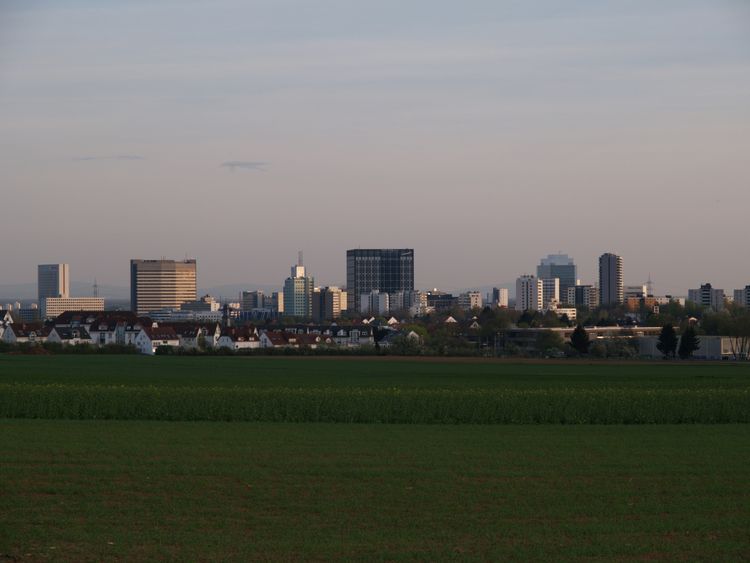 Bild Nr. 4 aus der Galerie