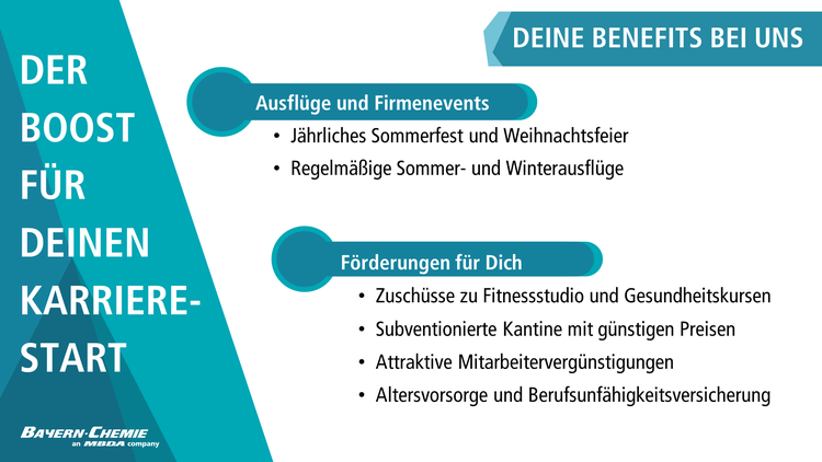 Bild Nr. 2 aus der Galerie