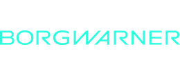 Logo BorgWarner Turbo Systems