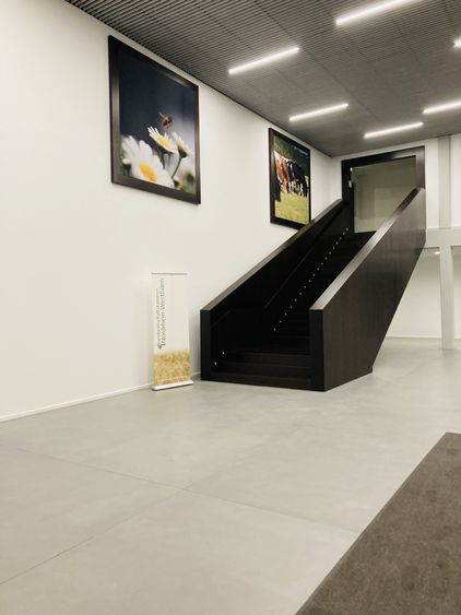 Bild Nr. 3 aus der Galerie