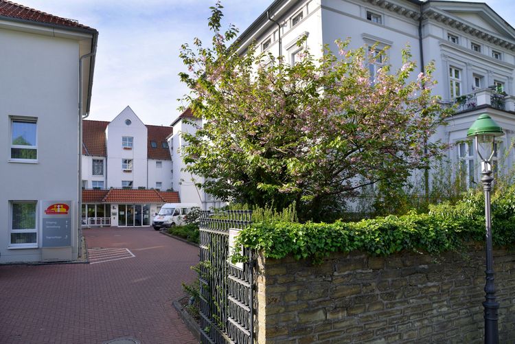 Bild Nr. 2 aus der Galerie