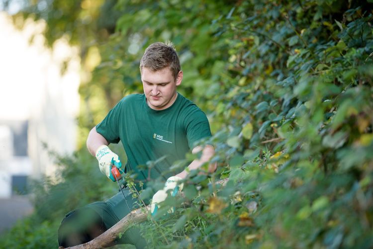 Ausbildung zum Gärtner (m/w/d) 2025 bei Vivawest Wohnen GmbH in