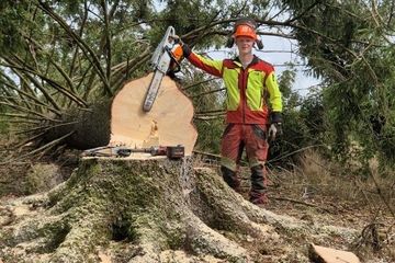 Foto des/der Interview-Partners/in