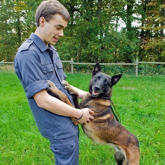 Verdienst Tierpfleger Verdienst Tierpfleger