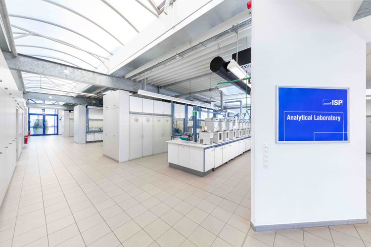 Bild Nr. 1 aus der Galerie