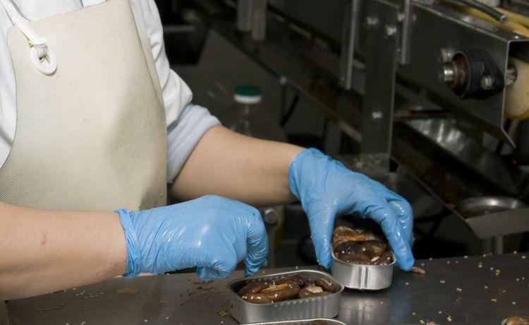 Profession gallery ausbildung zur fachkraft fuer lebensmitteltechnik 3 min