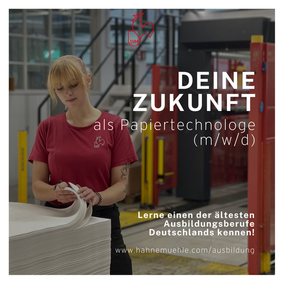 Bild Nr. 2 aus der Galerie