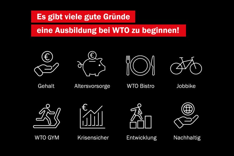 Bild Nr. 8 aus der Galerie