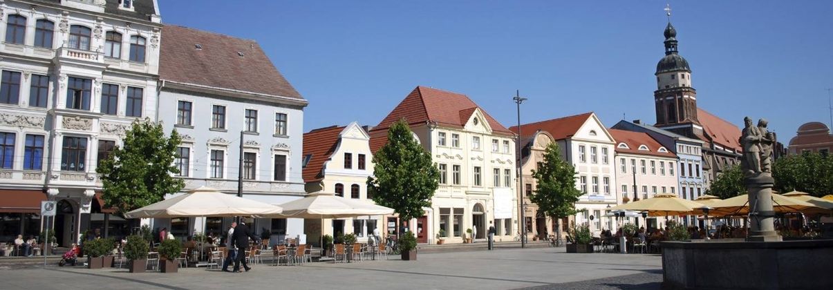 Search header image cottbus gro