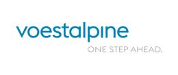 Logo voestalpine Automotive Components Dettingen GmbH & Co. KG