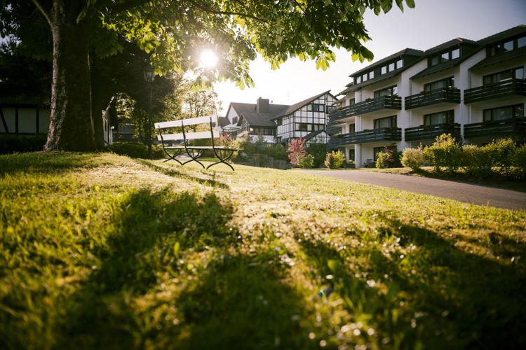 Bild Nr. 1 aus der Galerie